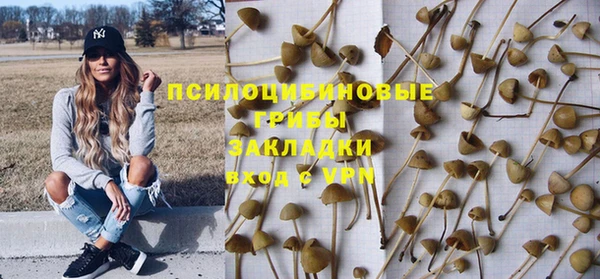 мескалин Майский