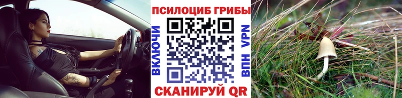 ОМГ ОМГ tor  Шали  Псилоцибиновые грибы MAGIC MUSHROOMS 